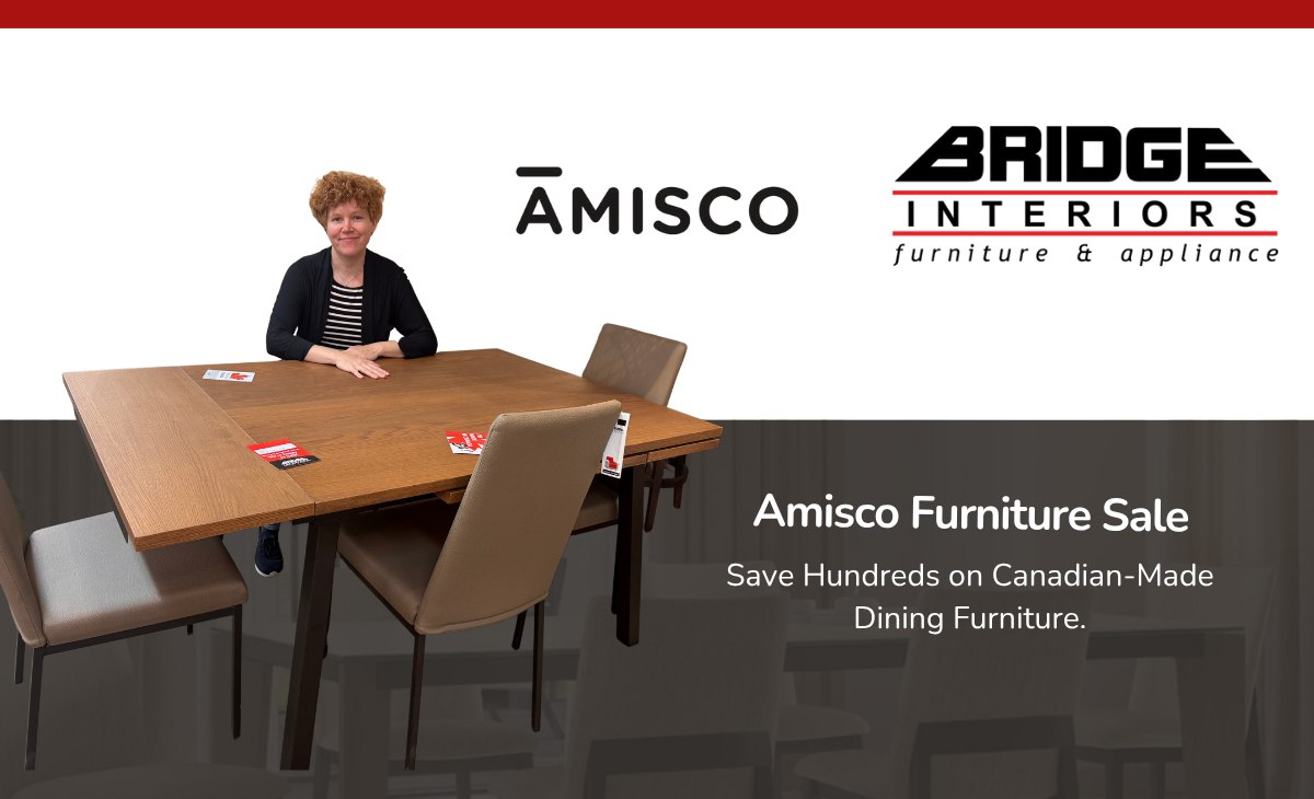 Amisco Furniture Sale