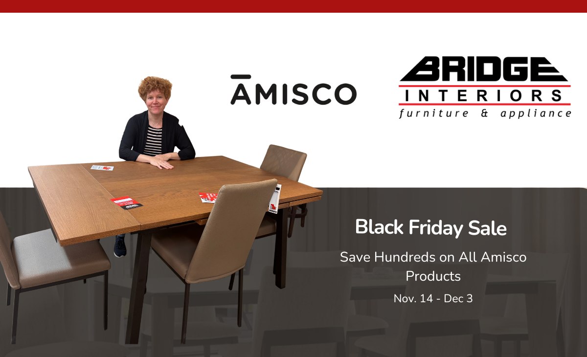 Black Friday Sale – Amisco